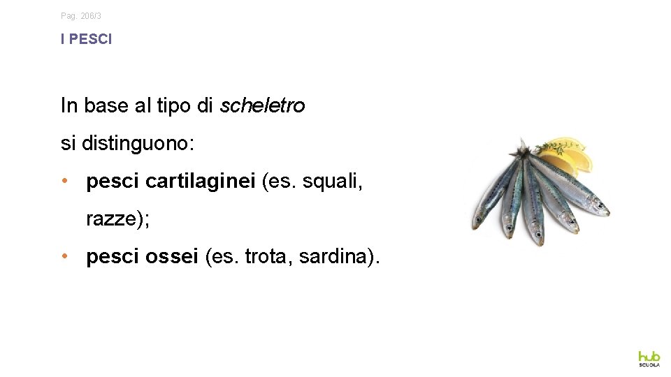 Pag. 206/3 I PESCI In base al tipo di scheletro si distinguono: • pesci