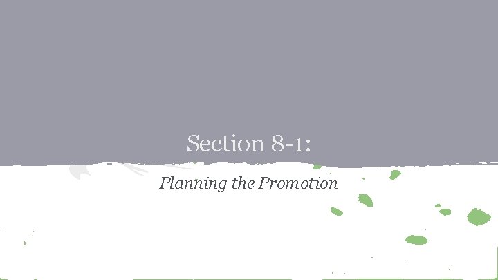 Section 8 -1: Planning the Promotion 