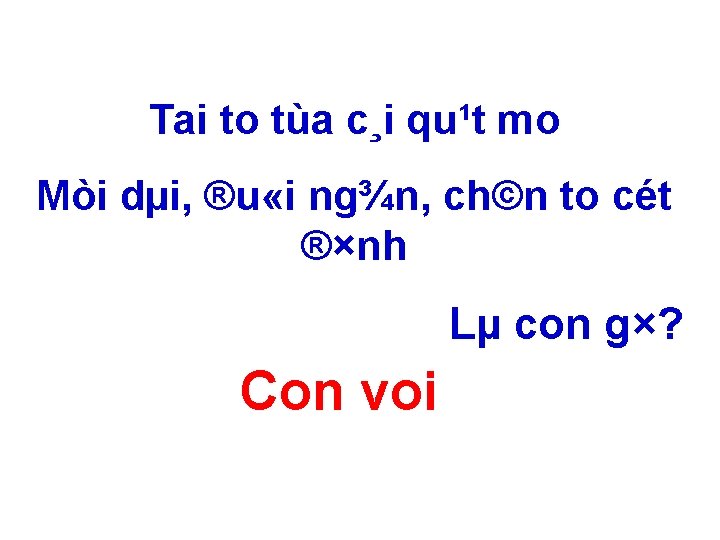 Tai to tùa c¸i qu¹t mo Mòi dµi, ®u «i ng¾n, ch©n to cét