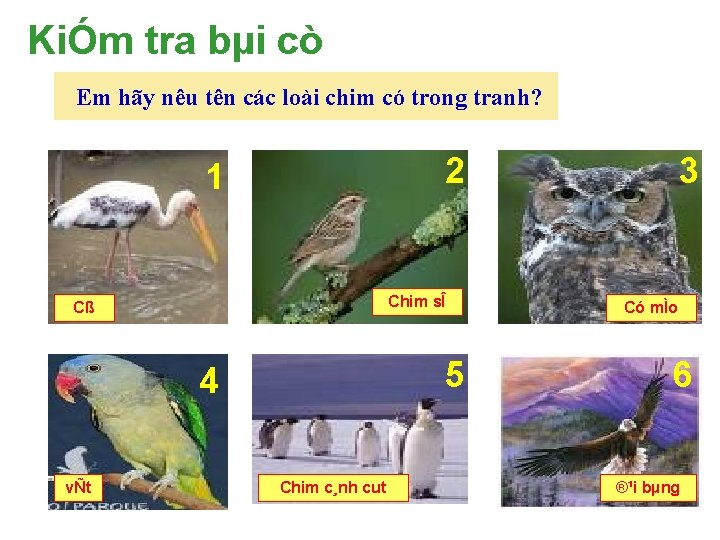 KiÓm tra bµi cò Em hãy nêu tên các loài chim có trong tranh?