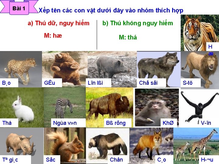 Bài 1 Xếp tên các con vật dưới đây vào nhóm thích hợp a)