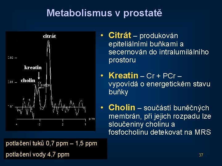 Metabolismus v prostatě citrát • Citrát – produkován epiteliálními buňkami a secernován do intralumilálního