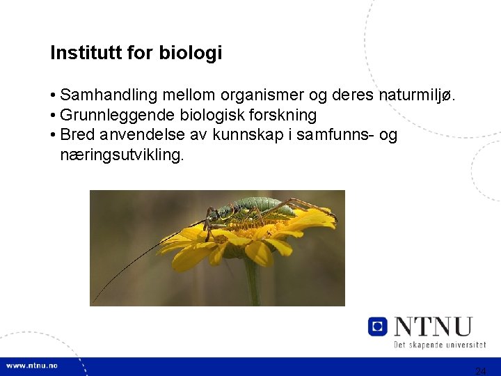 Institutt for biologi • Samhandling mellom organismer og deres naturmiljø. • Grunnleggende biologisk forskning