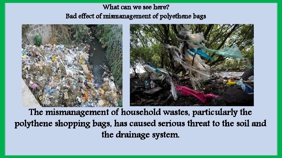 What can we see here? Bad effect of mismanagement of polyethene bags The mismanagement