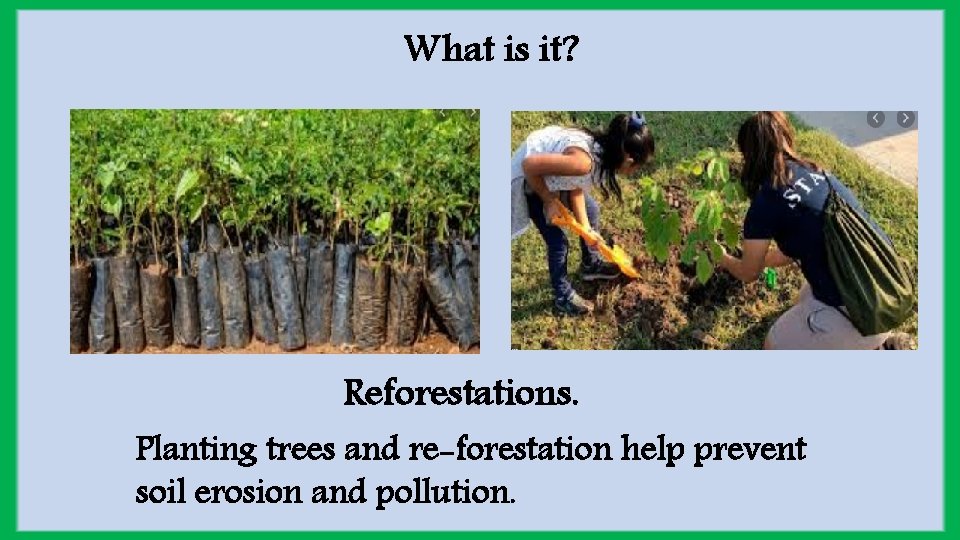 What is it? Reforestations. Planting trees and re-forestation help prevent soil erosion and pollution.