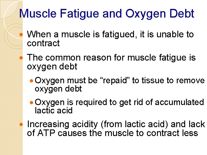 Muscle Fatigue and Oxygen Debt · When a muscle is fatigued, it is unable