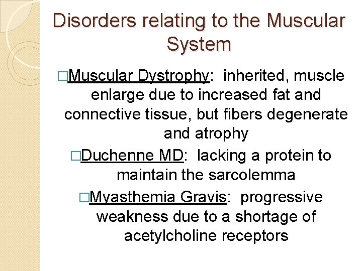 Disorders relating to the Muscular System �Muscular Dystrophy: inherited, muscle enlarge due to increased