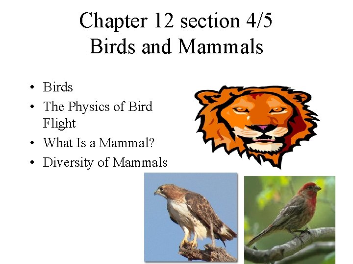 Chapter 12 section 4/5 Birds and Mammals • Birds • The Physics of Bird