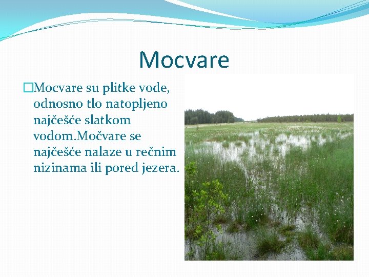Mocvare �Mocvare su plitke vode, odnosno tlo natopljeno najčešće slatkom vodom. Močvare se najčešće