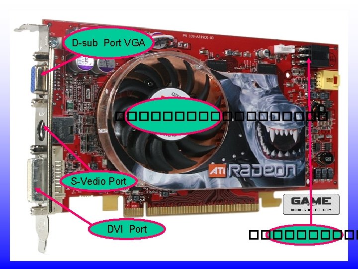 D-sub Port VGA ��������� S-Vedio Port DVI Port ����� 