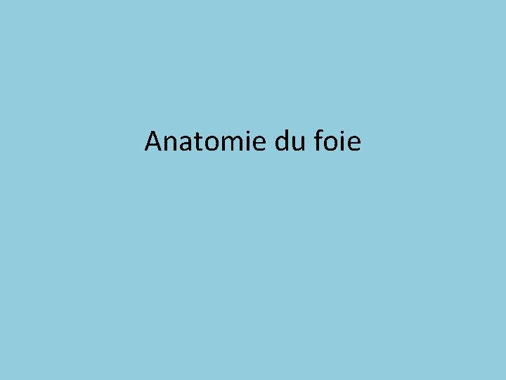 Anatomie du foie 