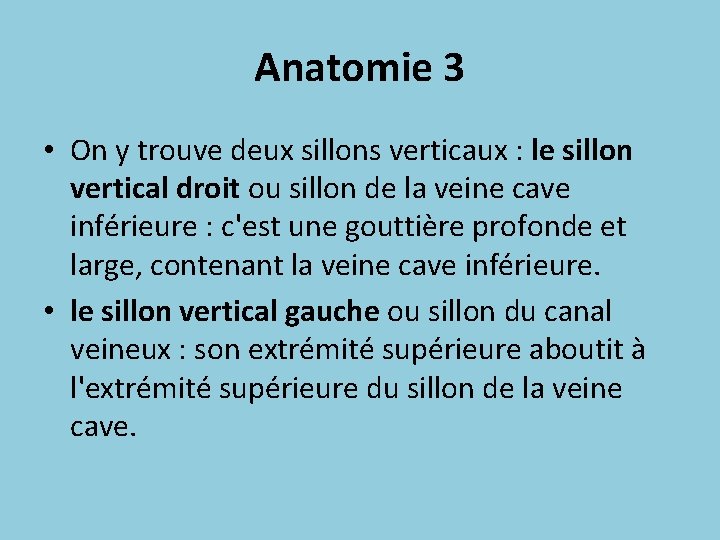 Anatomie 3 • On y trouve deux sillons verticaux : le sillon vertical droit