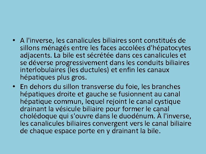  • A l'inverse, les canalicules biliaires sont constitués de sillons ménagés entre les