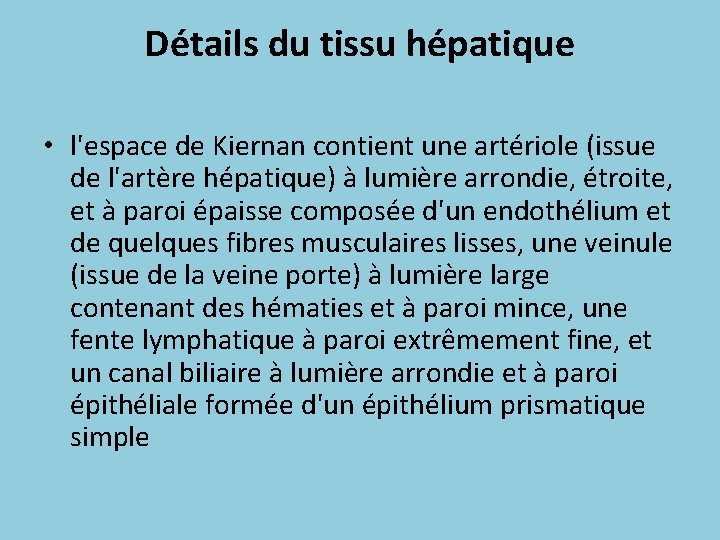 Détails du tissu hépatique • l'espace de Kiernan contient une artériole (issue de l'artère