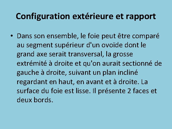 Configuration extérieure et rapport • Dans son ensemble, le foie peut être comparé au