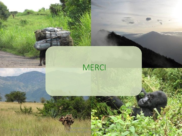 MERCI! 03/10/13 Echanges Sud-Sud/ Vidéoconférence Burkina Fasso, Côte-d'Ivoire, Togo & RDC 11 