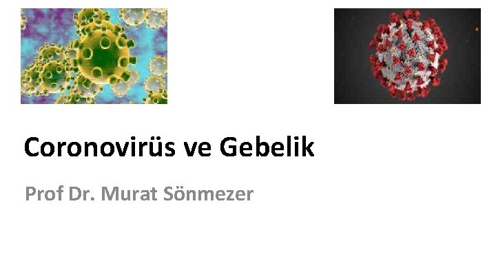 Coronovirüs ve Gebelik Prof Dr. Murat Sönmezer 