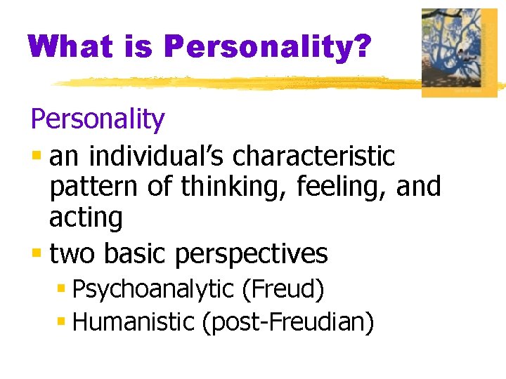 What is Personality? Personality § an individual’s characteristic pattern of thinking, feeling, and acting
