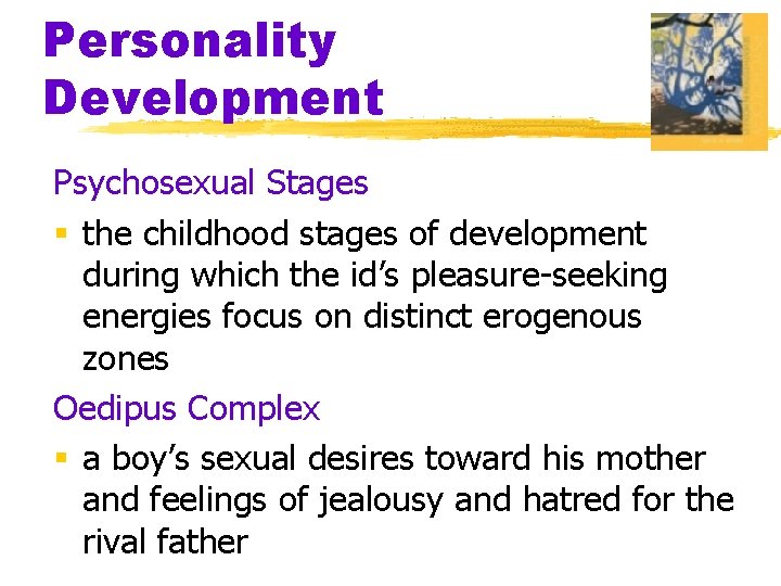 Personality Development Psychosexual Stages § the childhood stages of development during which the id’s