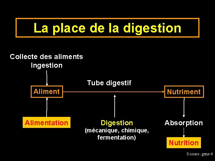 La place de la digestion Collecte des aliments Ingestion Tube digestif Alimentation Nutriment Digestion