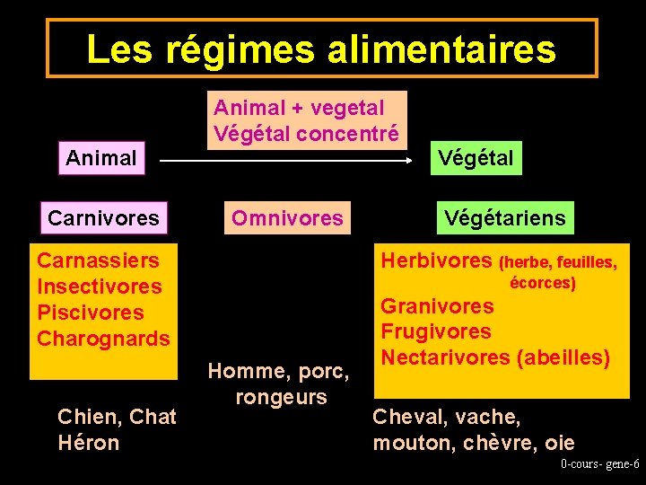Les régimes alimentaires Animal + vegetal Végétal concentré Végétal Animal Carnivores Omnivores Carnassiers Insectivores