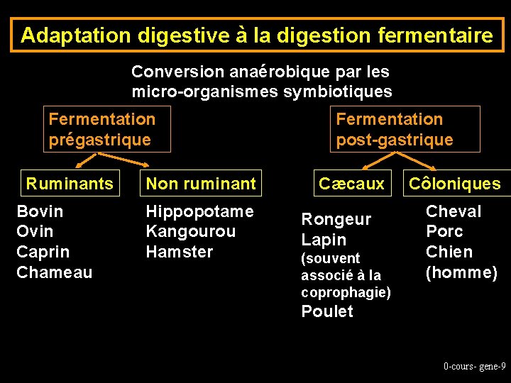 Adaptation digestive à la digestion fermentaire Conversion anaérobique par les micro-organismes symbiotiques Fermentation prégastrique