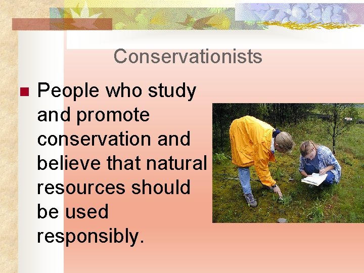Conservationists n People who study and promote conservation and believe that natural resources should