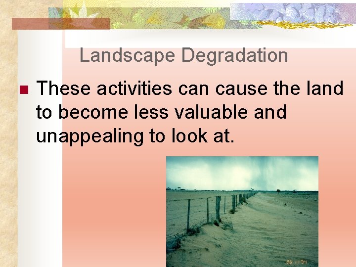 Landscape Degradation n These activities can cause the land to become less valuable and