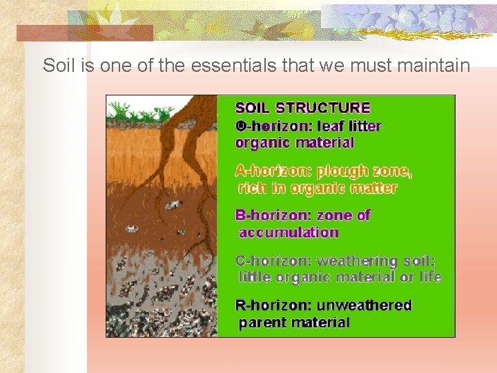 Soil is one of the essentials that we must maintain 
