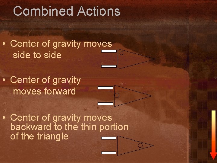 Combined Actions • Center of gravity moves side to side • Center of gravity