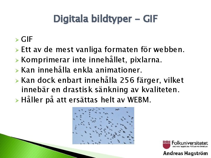 Digitala bildtyper - GIF Ø Ett av de mest vanliga formaten för webben. Ø