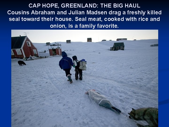 CAP HOPE, GREENLAND: THE BIG HAUL Cousins Abraham and Julian Madsen drag a freshly