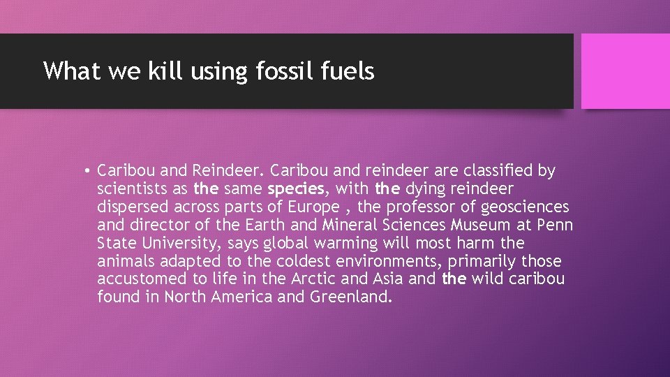 What we kill using fossil fuels • Caribou and Reindeer. Caribou and reindeer are