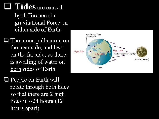 q Tides are caused by differences in gravitational Force on either side of Earth