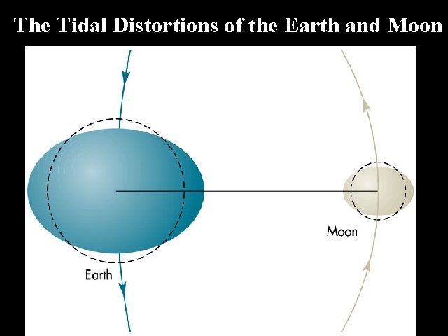 The Tidal Distortions of the Earth and Moon 