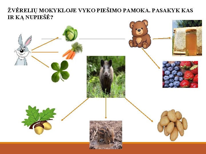 ŽVĖRELIŲ MOKYKLOJE VYKO PIEŠIMO PAMOKA. PASAKYK KAS IR KĄ NUPIEŠĖ? 