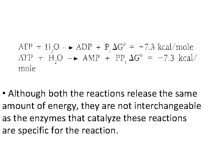  • Although both the reactions release the same amount of energy, they are