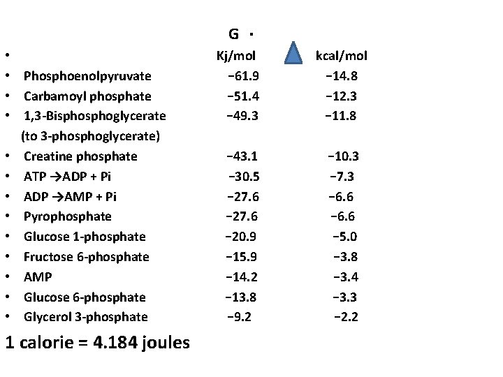 G • • Phosphoenolpyruvate • Carbamoyl phosphate • 1, 3 -Bisphoglycerate (to 3 -phosphoglycerate)