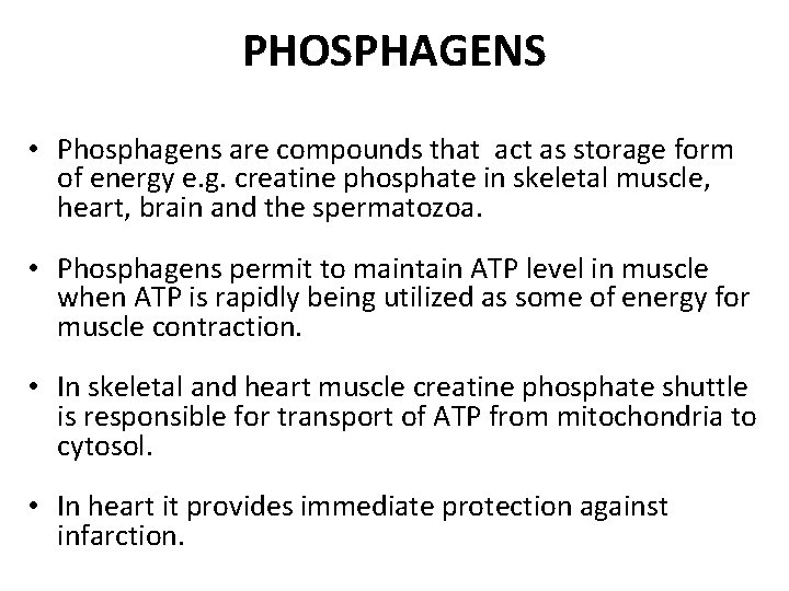 PHOSPHAGENS • Phosphagens are compounds that act as storage form of energy e. g.