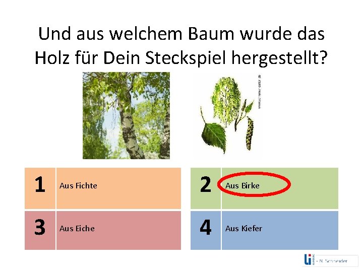 Und aus welchem Baum wurde das Holz für Dein Steckspiel hergestellt? 1 Aus Fichte