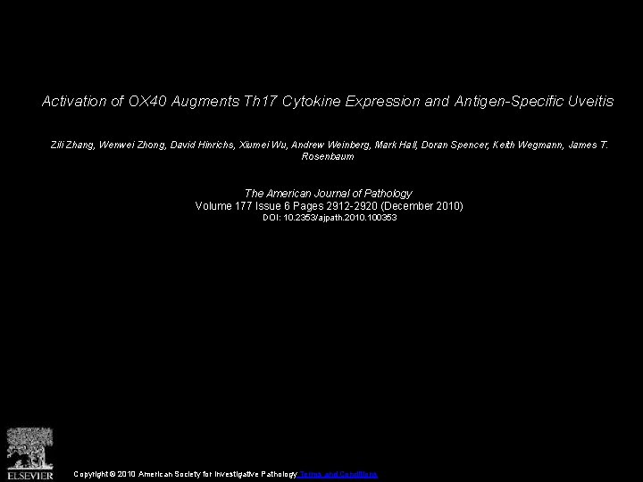 Activation of OX 40 Augments Th 17 Cytokine