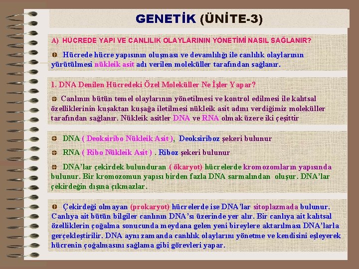 GENETİK (ÜNİTE-3) A) HÜCREDE YAPI VE CANLILIK OLAYLARININ YÖNETİMİ NASIL SAĞLANIR? Hücrede hücre yapısının