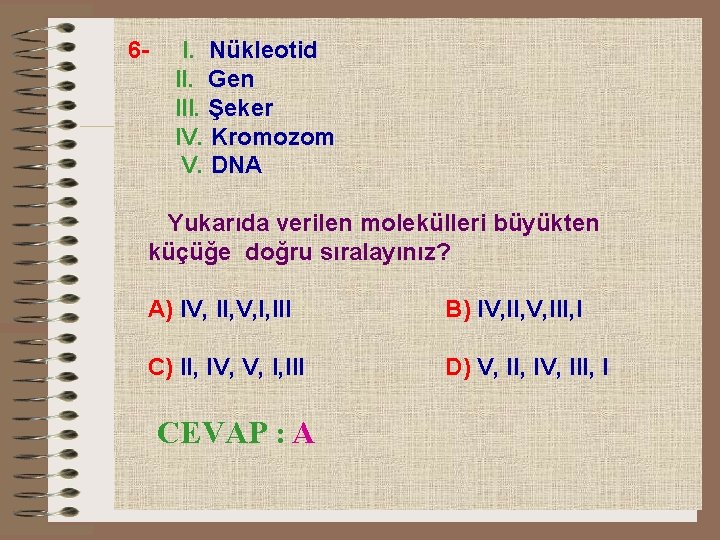 6 - I. Nükleotid II. Gen III. Şeker IV. Kromozom V. DNA Yukarıda verilen