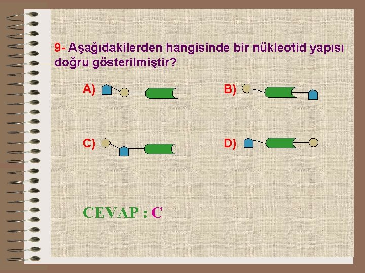 9 - Aşağıdakilerden hangisinde bir nükleotid yapısı doğru gösterilmiştir? A) B) C) D) CEVAP