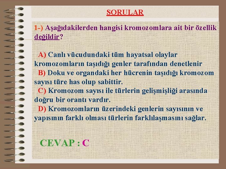 SORULAR 1 -) Aşağıdakilerden hangisi kromozomlara ait bir özellik değildir? A) Canlı vücudundaki tüm