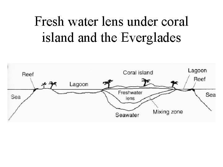 Fresh water lens under coral island the Everglades 