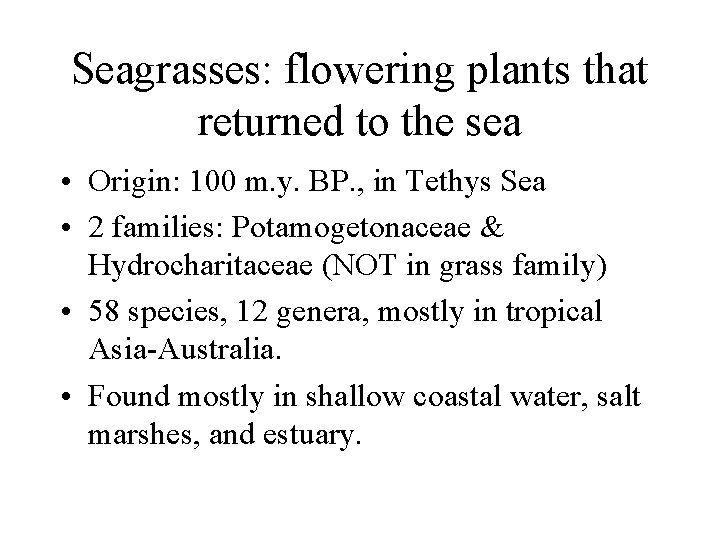 Seagrasses: flowering plants that returned to the sea • Origin: 100 m. y. BP.