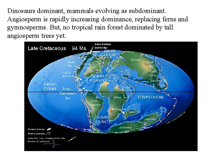 Dinosaurs dominant, mammals evolving as subdominant. Angiosperm is rapidly increasing dominance, replacing ferns and