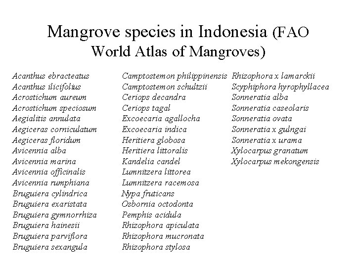 Mangrove species in Indonesia (FAO World Atlas of Mangroves) Acanthus ebracteatus Acanthus ilicifolius Acrostichum