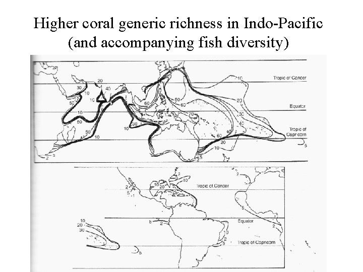 Higher coral generic richness in Indo-Pacific (and accompanying fish diversity) 
